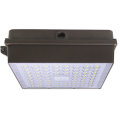 100W LED Canopy Light for Gas Station/Stadium/Metro Station